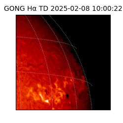 gong - 2025-02-08T10:00:22