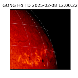 gong - 2025-02-08T12:00:22