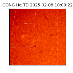 gong - 2025-02-08T10:00:22