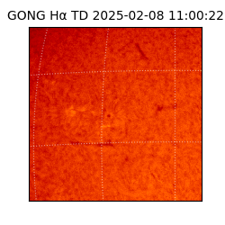gong - 2025-02-08T11:00:22