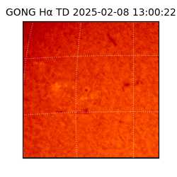 gong - 2025-02-08T13:00:22