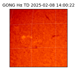 gong - 2025-02-08T14:00:22