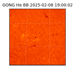 gong - 2025-02-08T19:00:02
