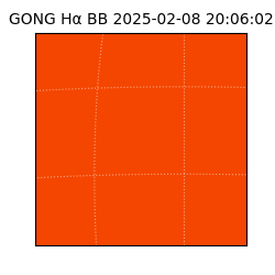 gong - 2025-02-08T20:06:02