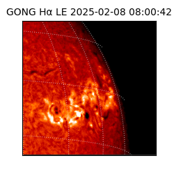 gong - 2025-02-08T08:00:42