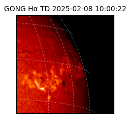 gong - 2025-02-08T10:00:22