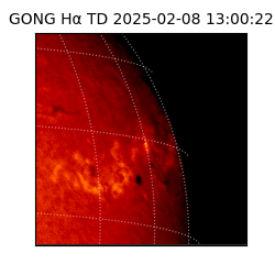 gong - 2025-02-08T13:00:22