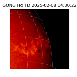 gong - 2025-02-08T14:00:22