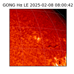 gong - 2025-02-08T08:00:42