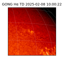 gong - 2025-02-08T10:00:22