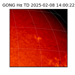 gong - 2025-02-08T14:00:22