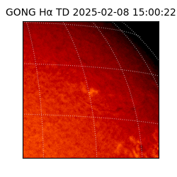 gong - 2025-02-08T15:00:22