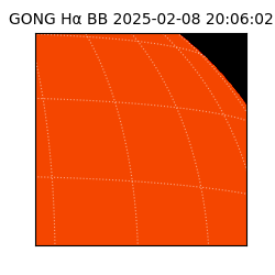 gong - 2025-02-08T20:06:02