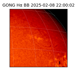 gong - 2025-02-08T22:00:02