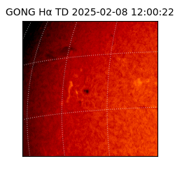 gong - 2025-02-08T12:00:22