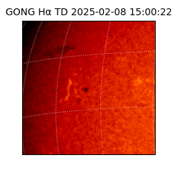 gong - 2025-02-08T15:00:22