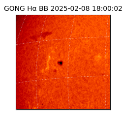 gong - 2025-02-08T18:00:02