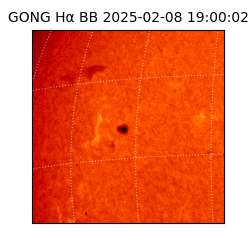 gong - 2025-02-08T19:00:02