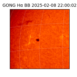 gong - 2025-02-08T22:00:02