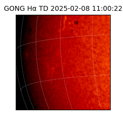 gong - 2025-02-08T11:00:22