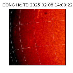 gong - 2025-02-08T14:00:22