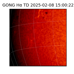 gong - 2025-02-08T15:00:22