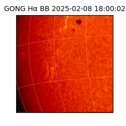 gong - 2025-02-08T18:00:02