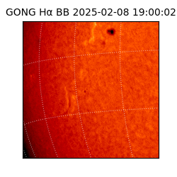 gong - 2025-02-08T19:00:02