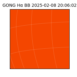 gong - 2025-02-08T20:06:02