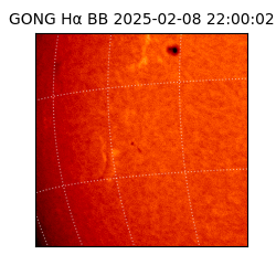 gong - 2025-02-08T22:00:02
