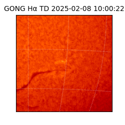 gong - 2025-02-08T10:00:22
