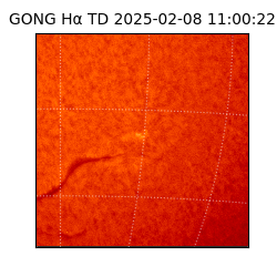 gong - 2025-02-08T11:00:22