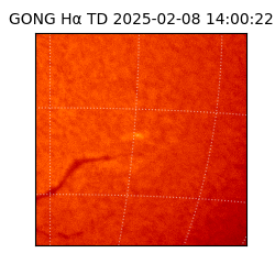 gong - 2025-02-08T14:00:22