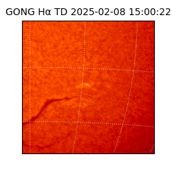 gong - 2025-02-08T15:00:22
