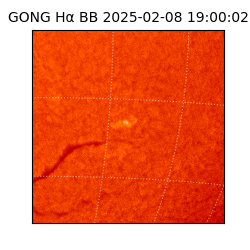 gong - 2025-02-08T19:00:02