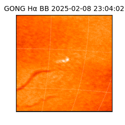 gong - 2025-02-08T23:04:02