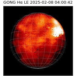 gong - 2025-02-08T04:00:42