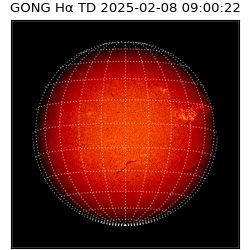 gong - 2025-02-08T09:00:22