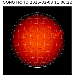 gong - 2025-02-08T11:00:22