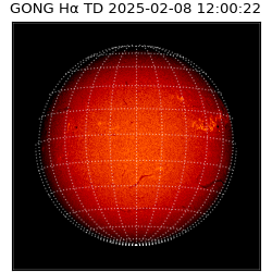 gong - 2025-02-08T12:00:22