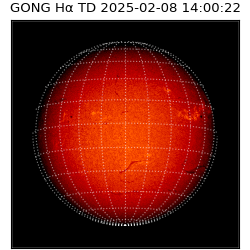gong - 2025-02-08T14:00:22