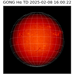 gong - 2025-02-08T16:00:22