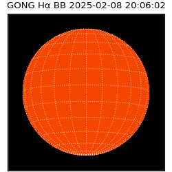 gong - 2025-02-08T20:06:02