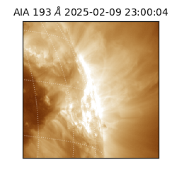 saia - 2025-02-09T23:00:04.843000