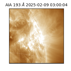 saia - 2025-02-09T03:00:04.843000