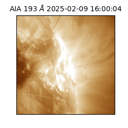 saia - 2025-02-09T16:00:04.843000