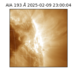 saia - 2025-02-09T23:00:04.843000