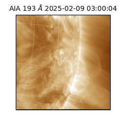 saia - 2025-02-09T03:00:04.843000