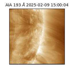 saia - 2025-02-09T15:00:04.843000