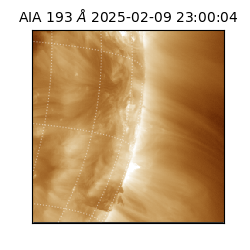 saia - 2025-02-09T23:00:04.843000